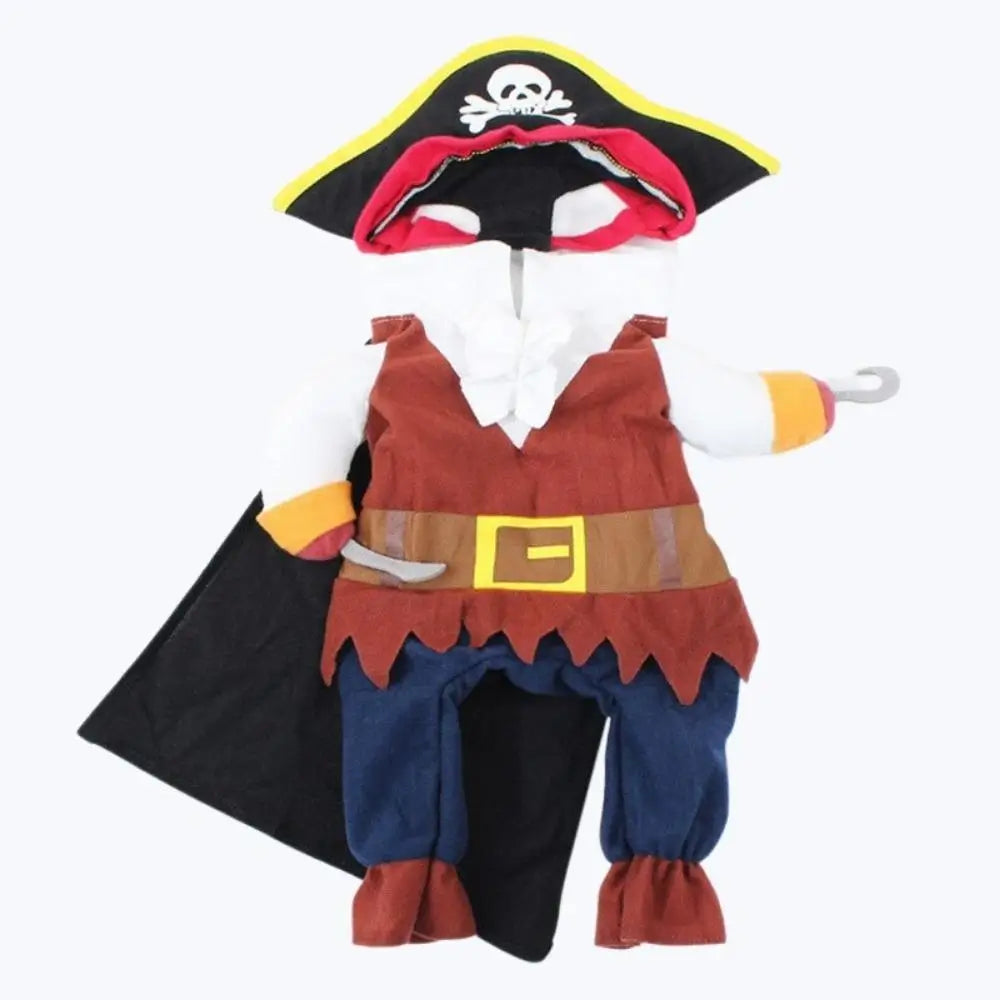 Costume chat amusant pirate