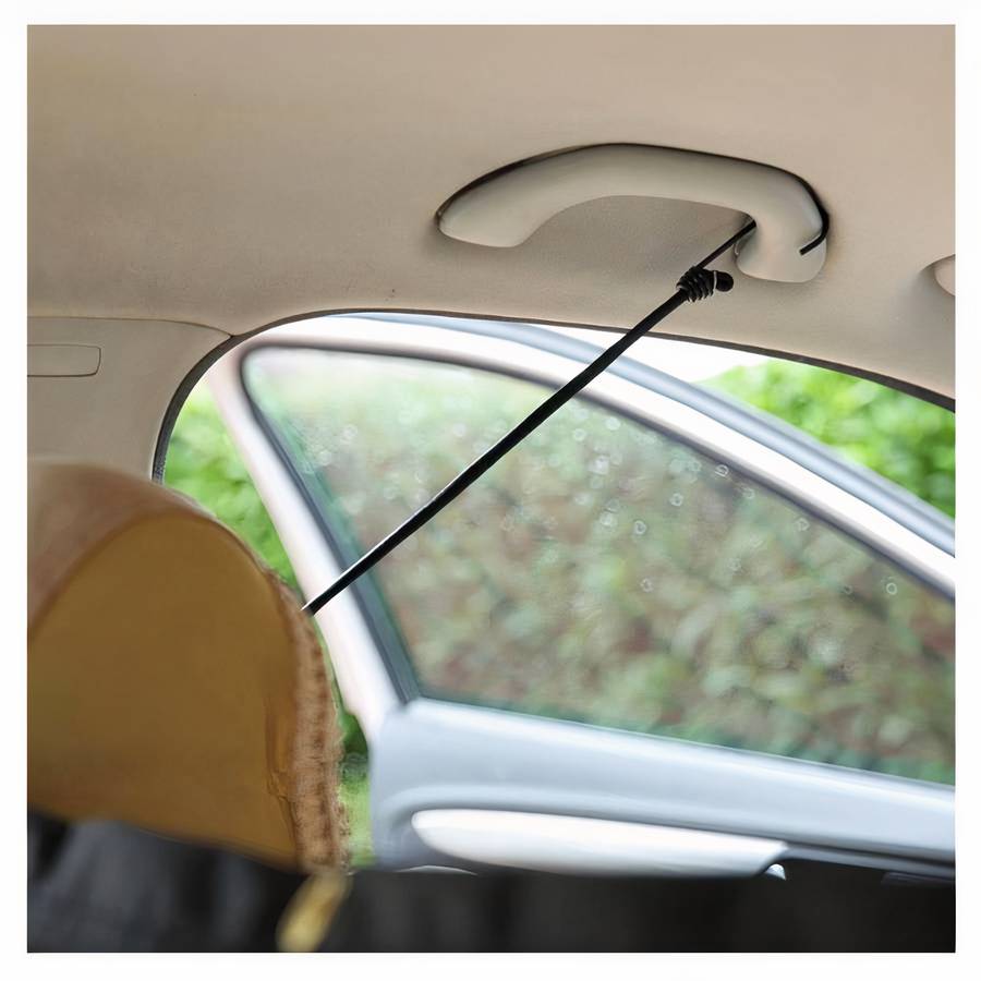 Barrière de sécurité de voiture pour chien