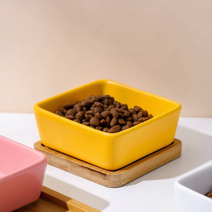 Bol en céramique pour chien