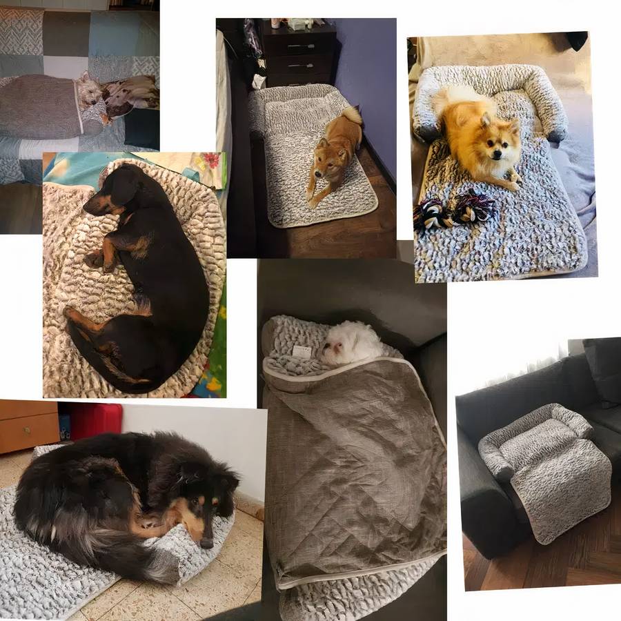 Canapé doux et chaud pour chien