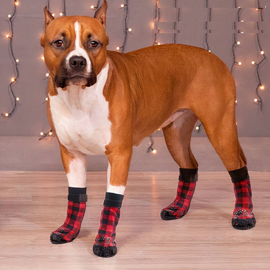 Chaussons antidérapantes carreaux pour chien