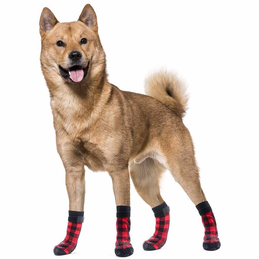 Chaussons antidérapantes carreaux pour chien
