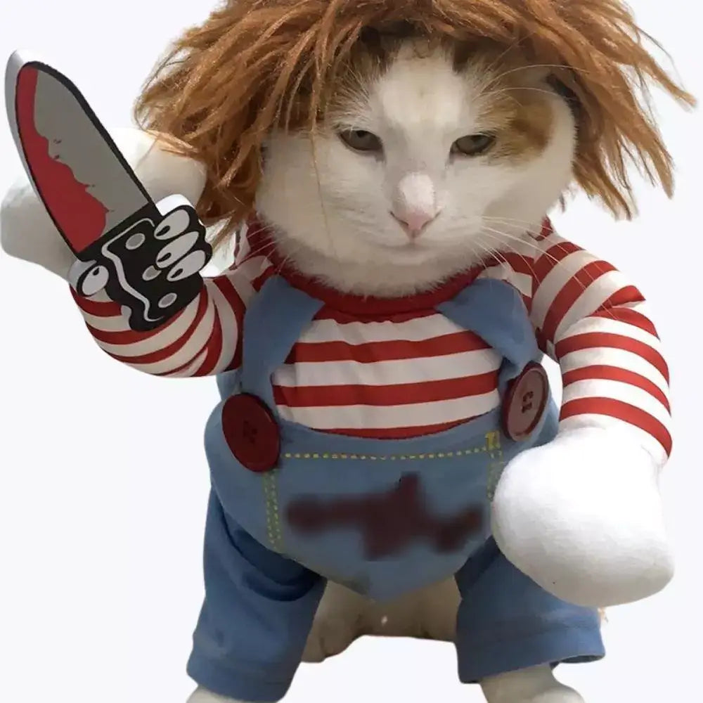 Costume halloween chat chucky