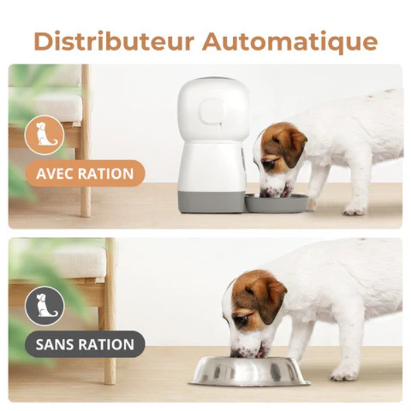 Distributeur automatique de croquettes pour chien et chat