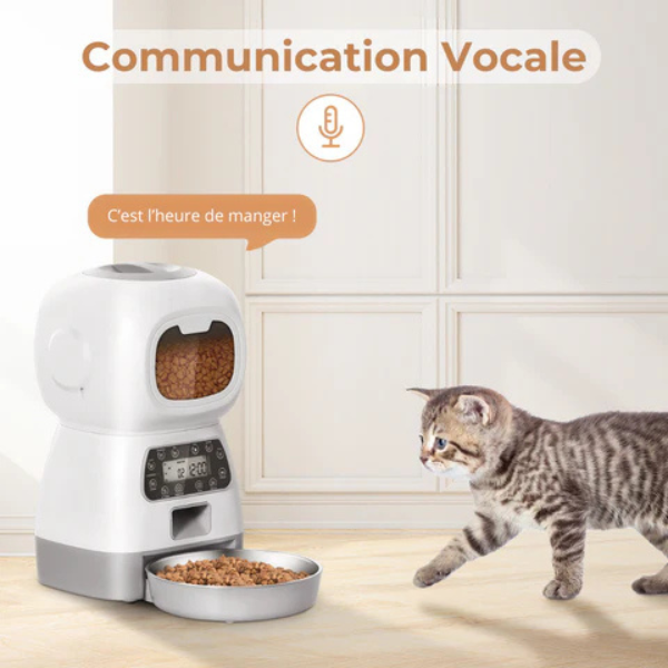 Distributeur automatique de croquettes pour chien et chat