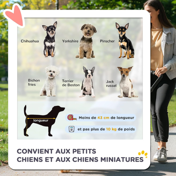 Poussette pour Chien - 4 Roues Pivotantes