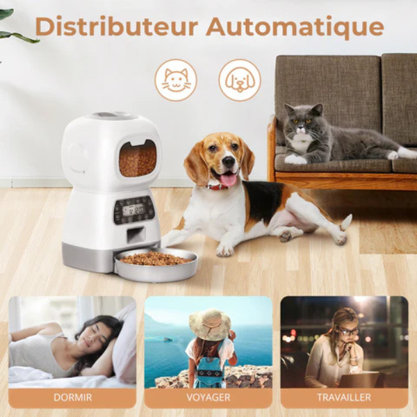 Distributeur automatique de croquettes pour chien et chat
