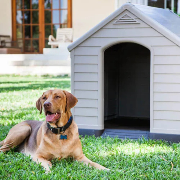 Niche pour Chien en Plastique Beige et Marron 99 x 95 x 99cm