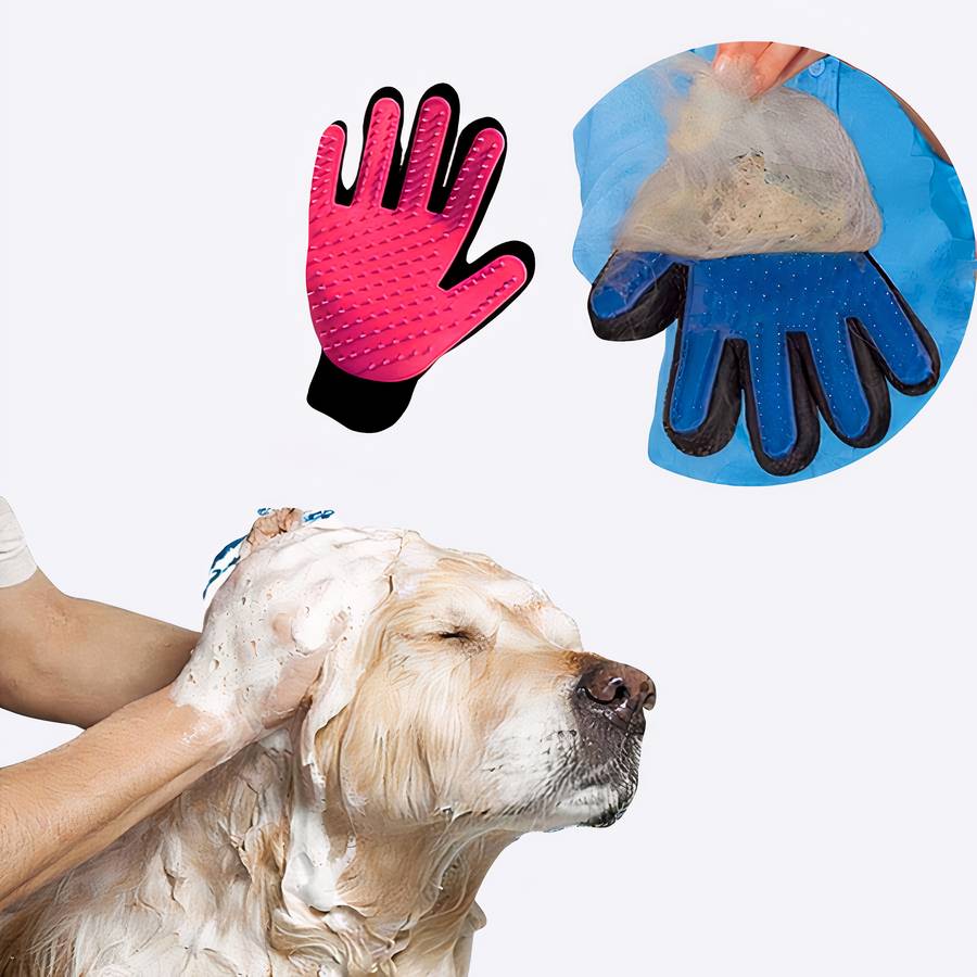 Gant de toilettage et massage pour chien