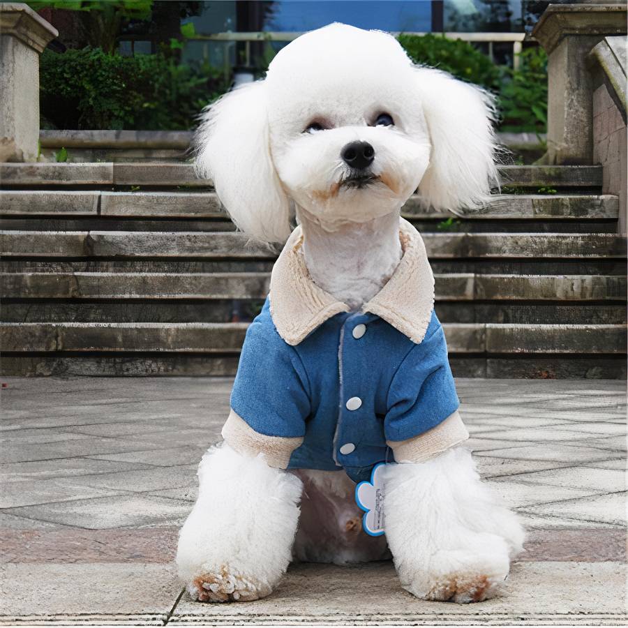 Manteau hivernal pour chien en jean