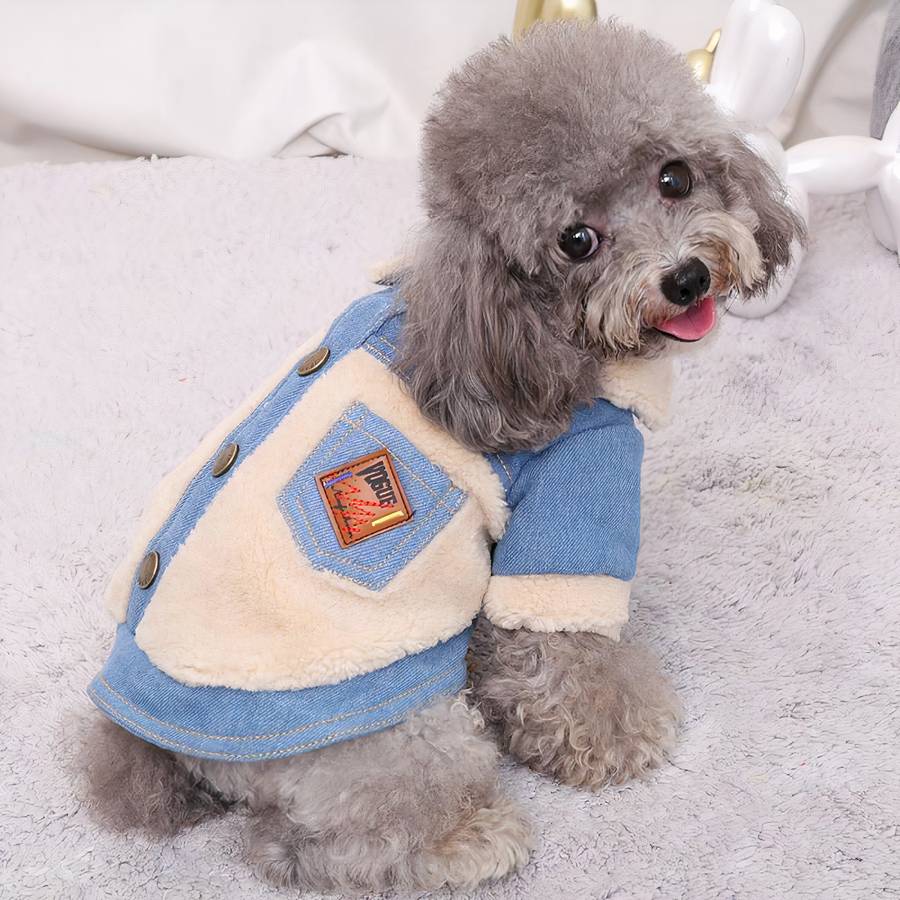 Manteau hivernal pour chien en jean