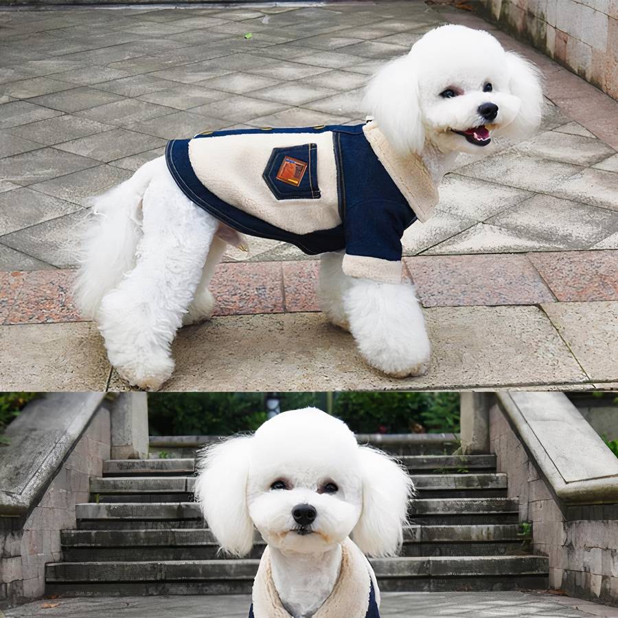 Manteau hivernal pour chien en jean