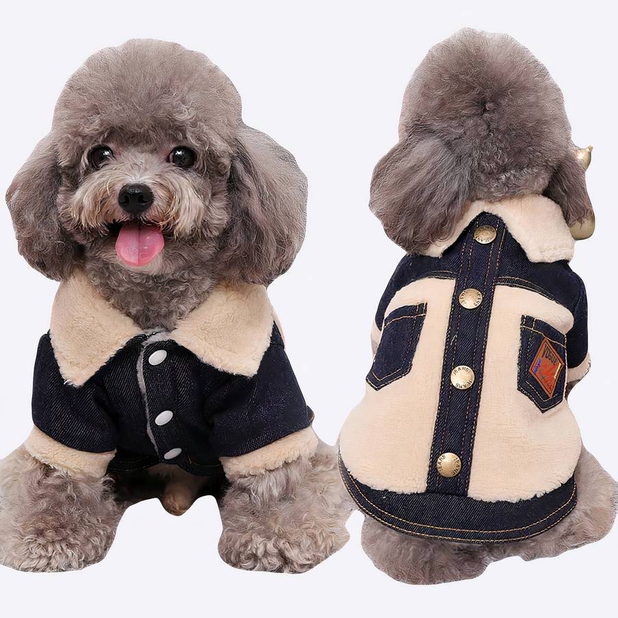 Manteau hivernal pour chien en jean
