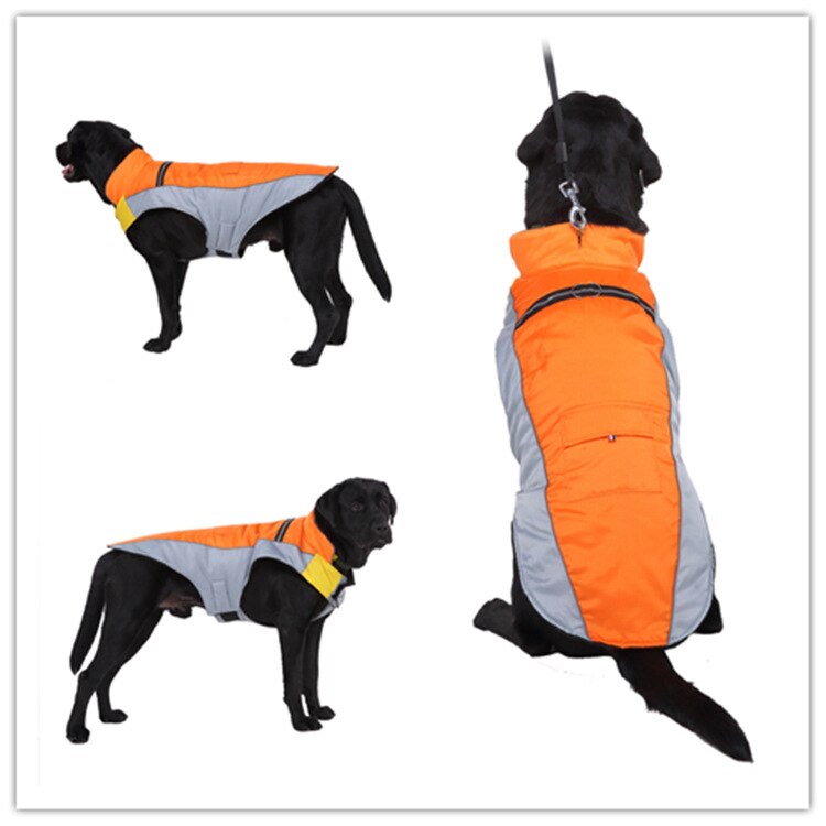 Veste polaire imperméable bicolore