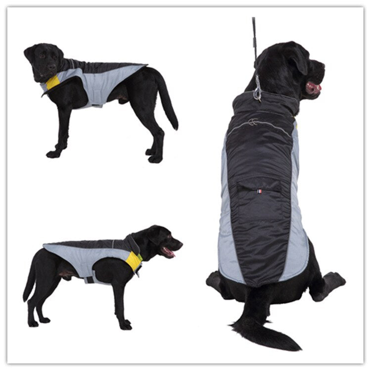Veste polaire imperméable bicolore