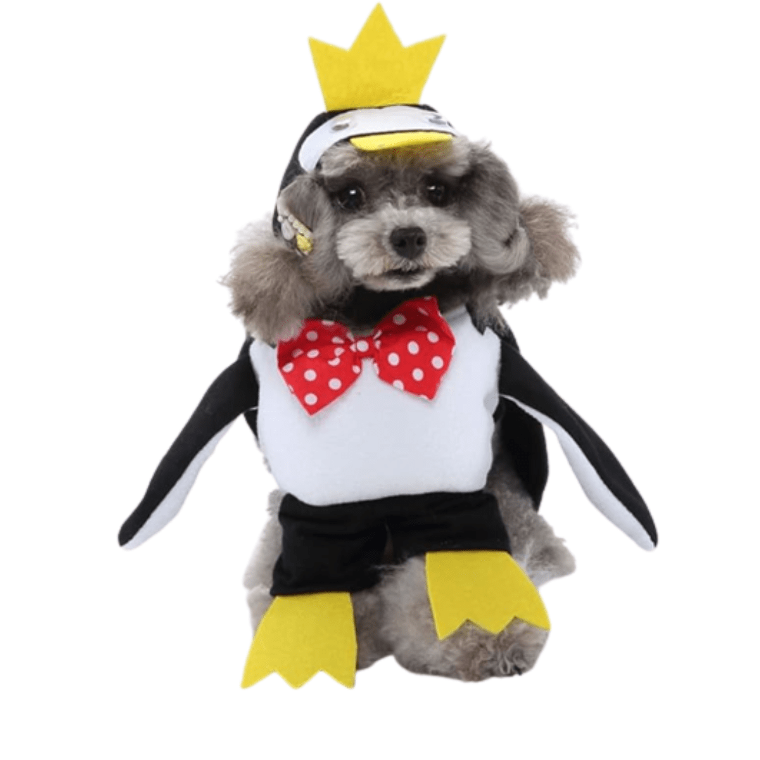 Déguisement pour chat et chien - Pingouin