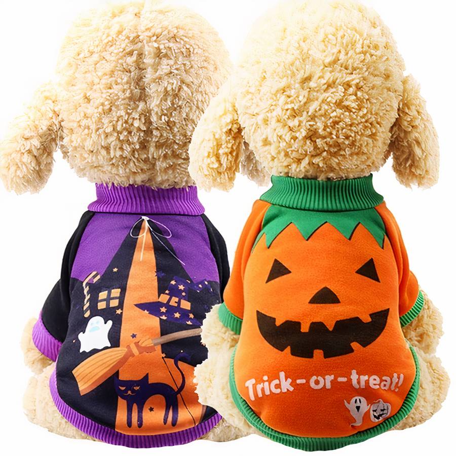 Pull halloween pour chien