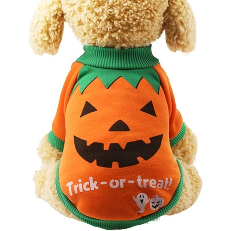 Pull halloween pour chien