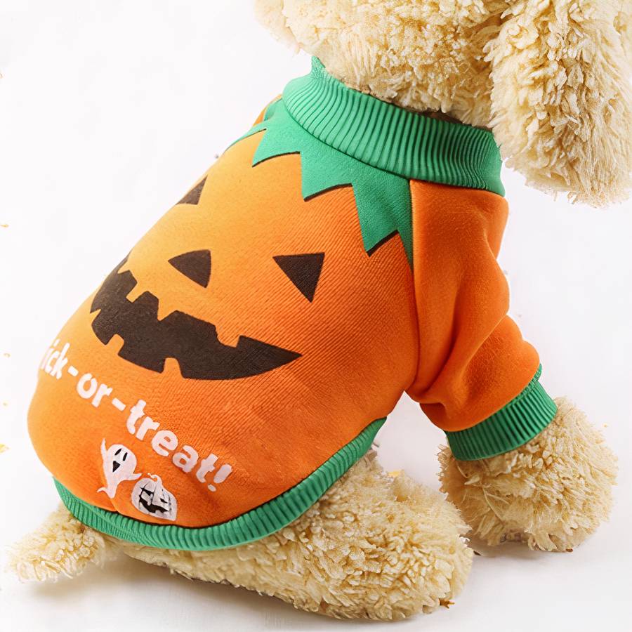 Pull halloween pour chien