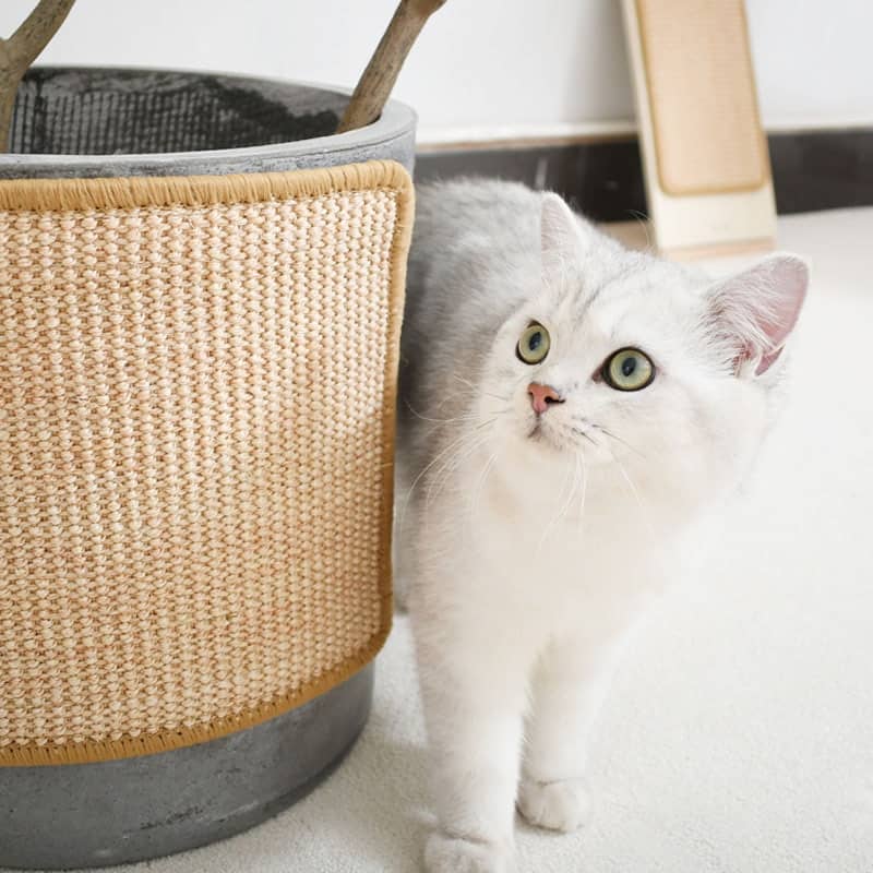 Tapis griffoir pour chat