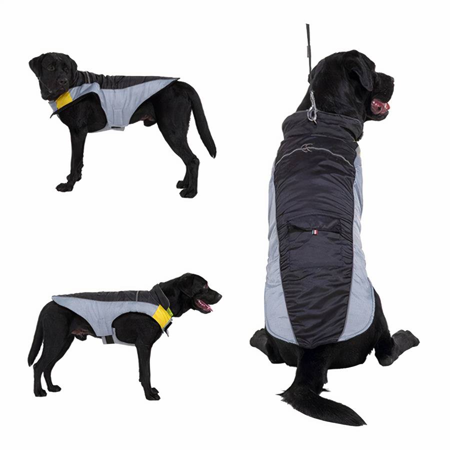 Veste polaire imperméable bicolore