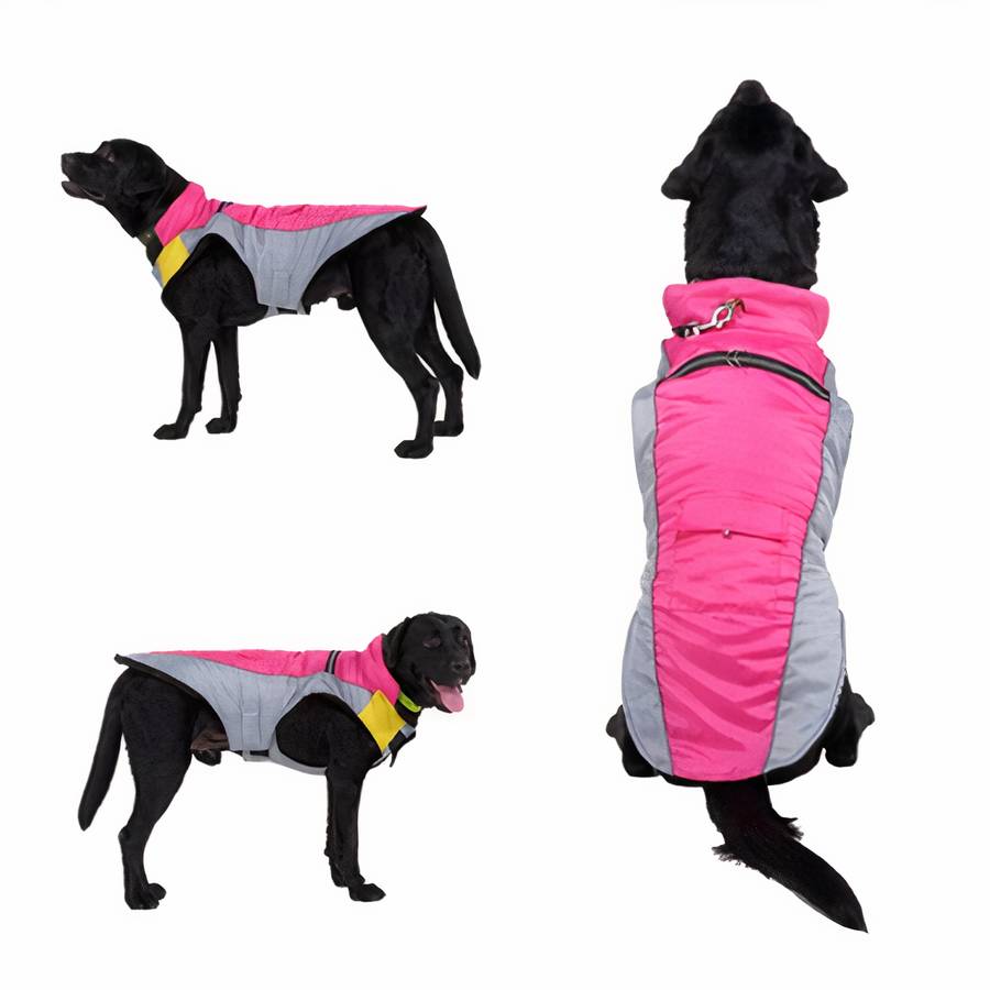 Veste polaire imperméable bicolore