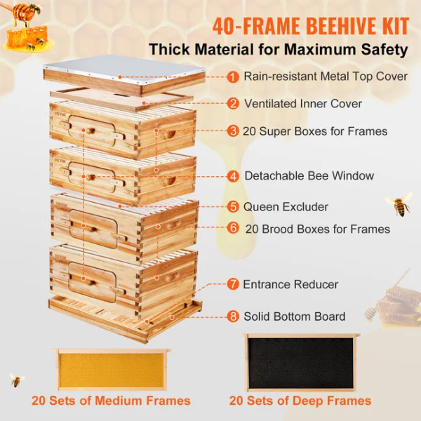 Ruche d'abeilles - 40 cadres - bois de cèdre enduit cire d'abeille