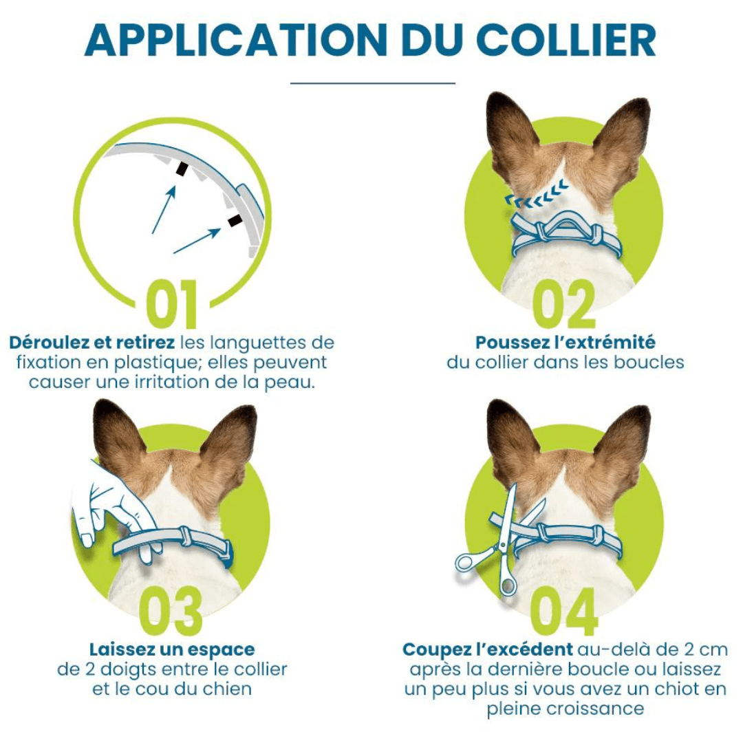 Collier anti-puces et anti-tiques pour chien et chat