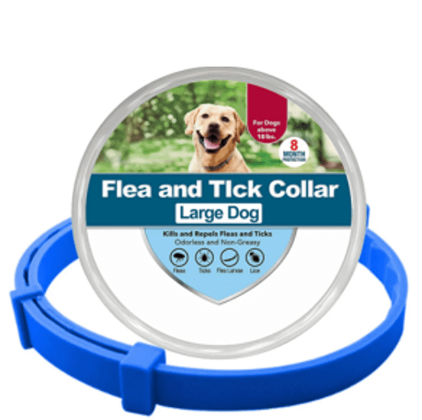 Collier anti-puces et anti-tiques pour chien et chat
