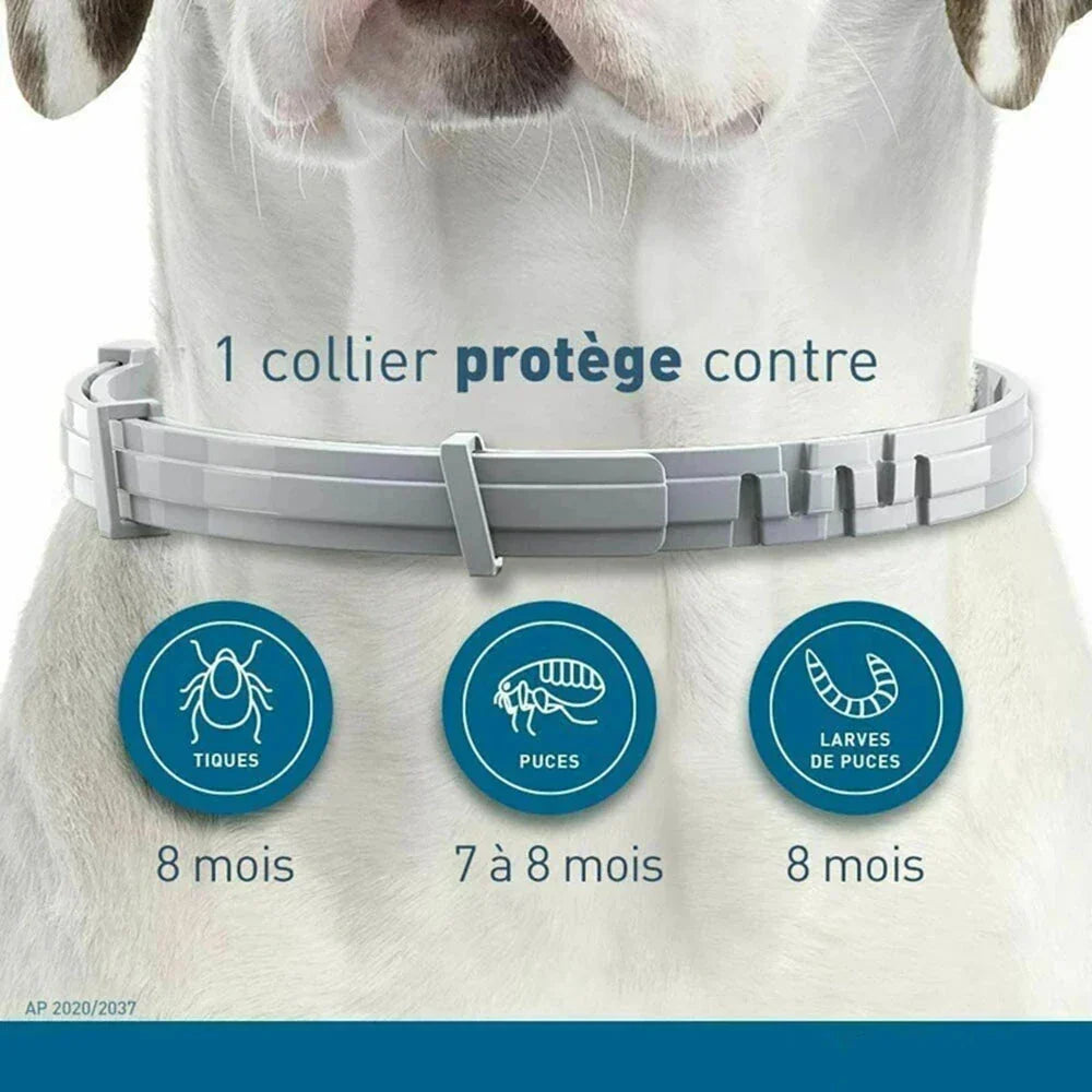 Collier anti puces chat