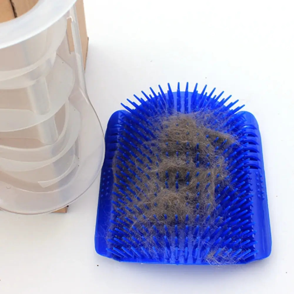 Brosse murale chat