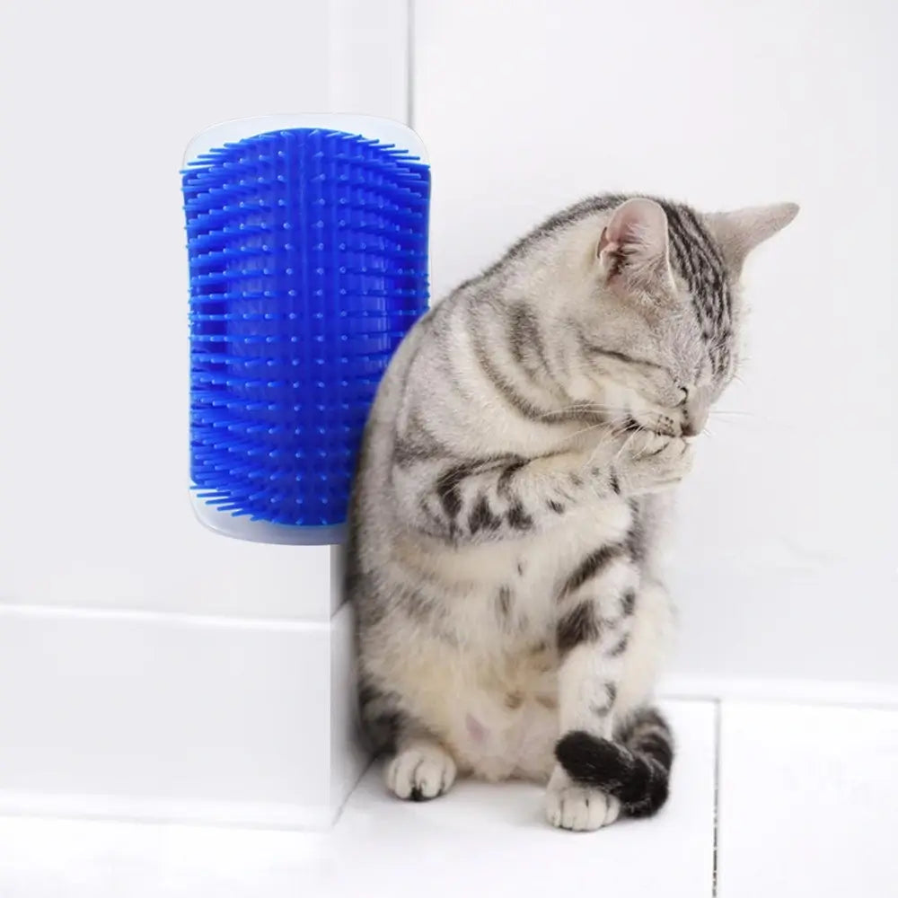 Brosse murale chat