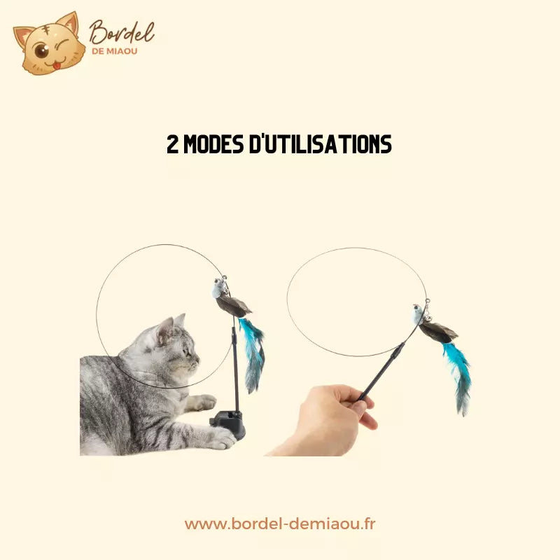 Jouet à plume pour chat