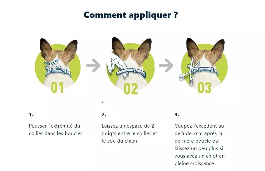 Collier anti puces chat