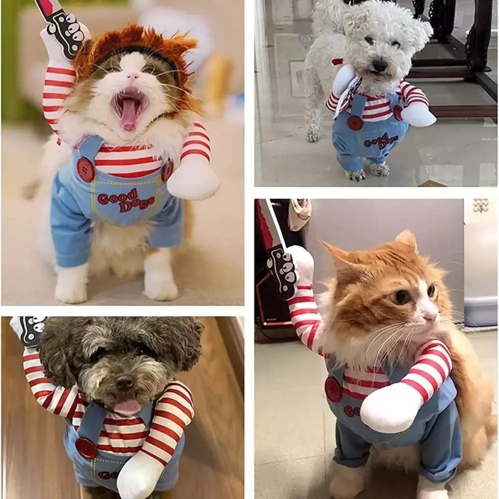 Costume halloween chat chucky