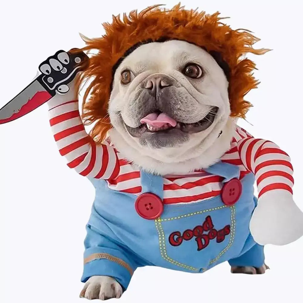 Costume halloween chat chucky