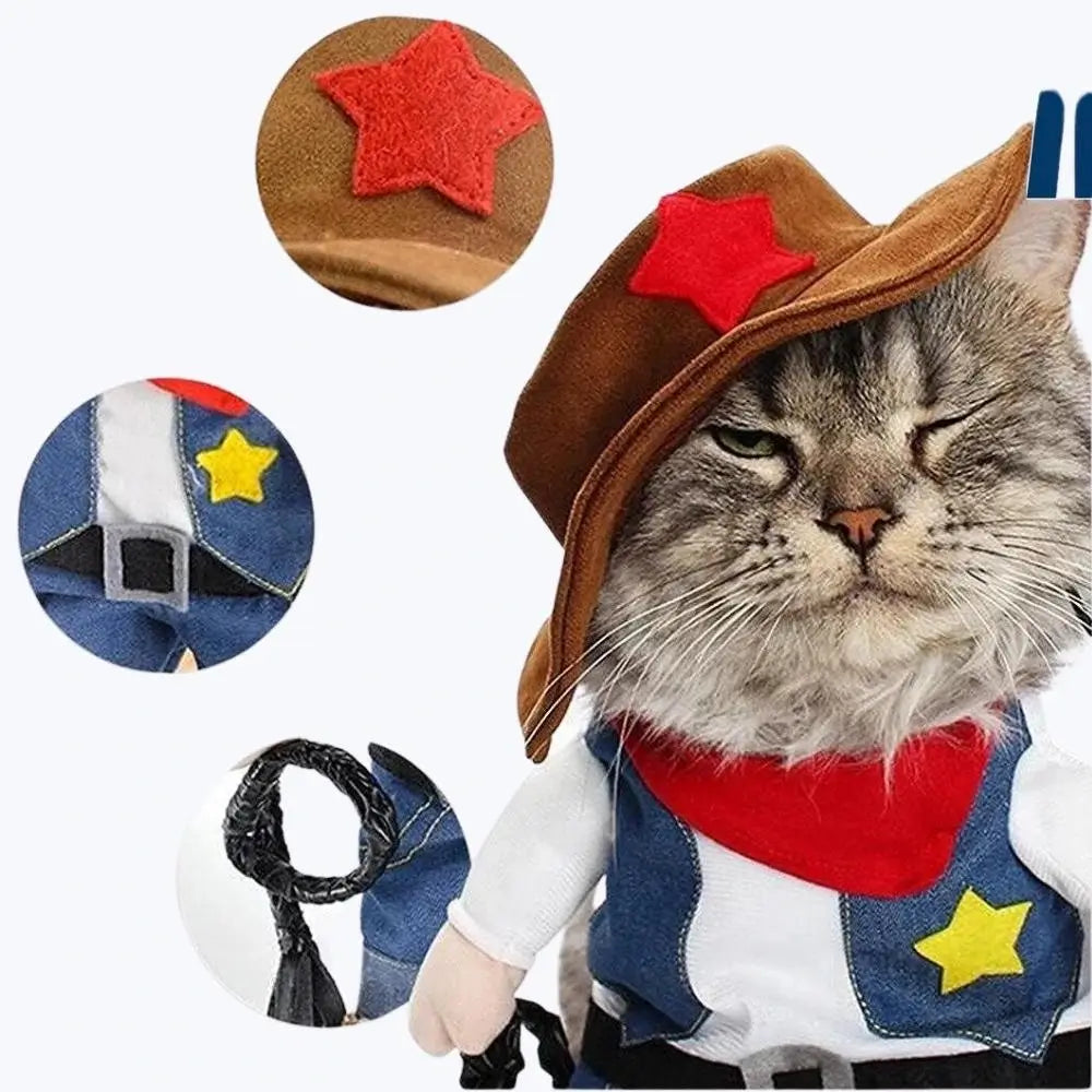 Costume chat cowboy