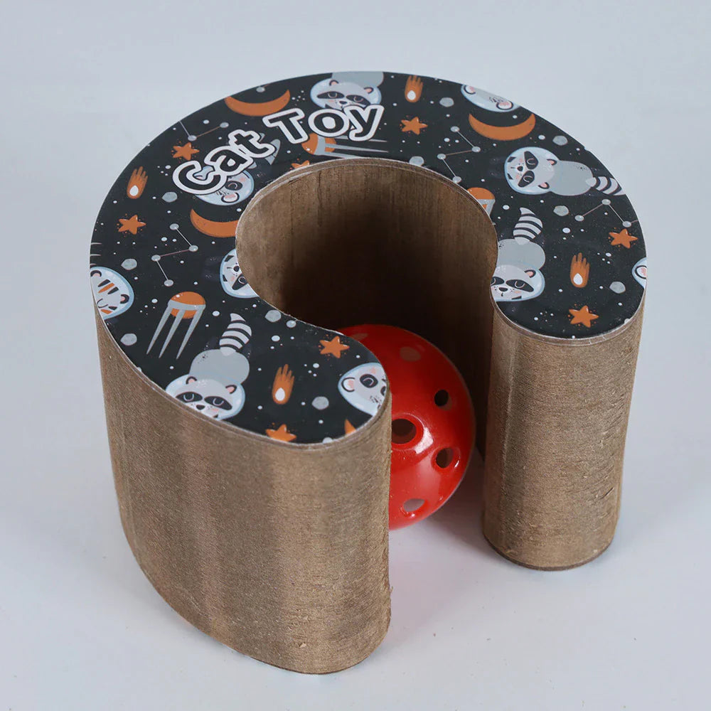 Griffoir carton chat