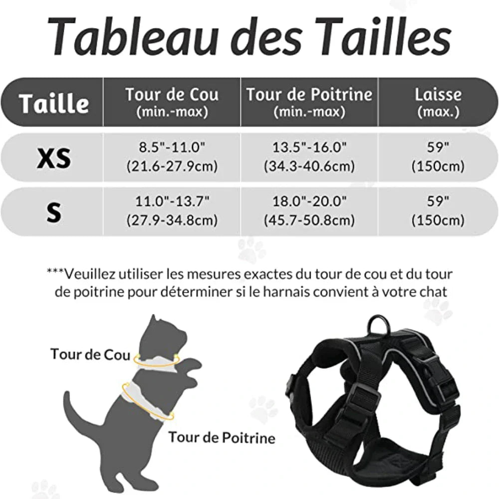 Harnais chat anti-fugue
