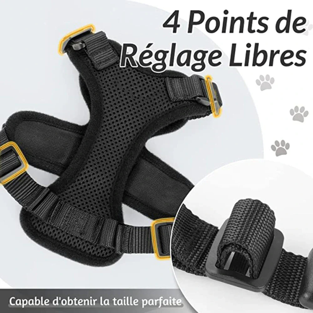 Harnais chat anti-fugue