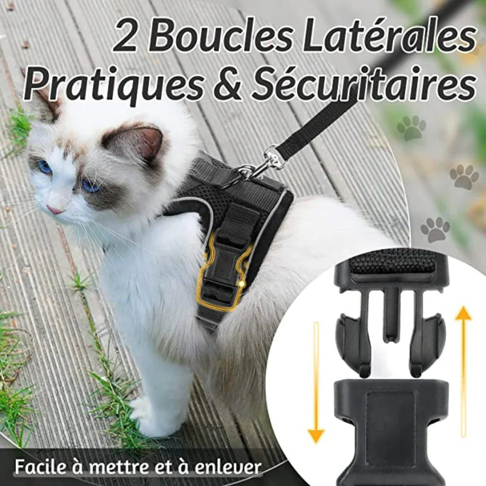 Harnais chat anti-fugue