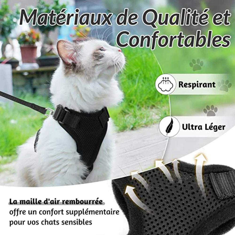 Harnais chat anti-fugue