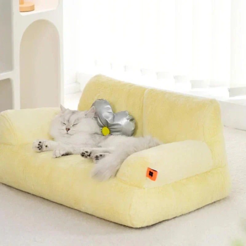 Sofa pour chat