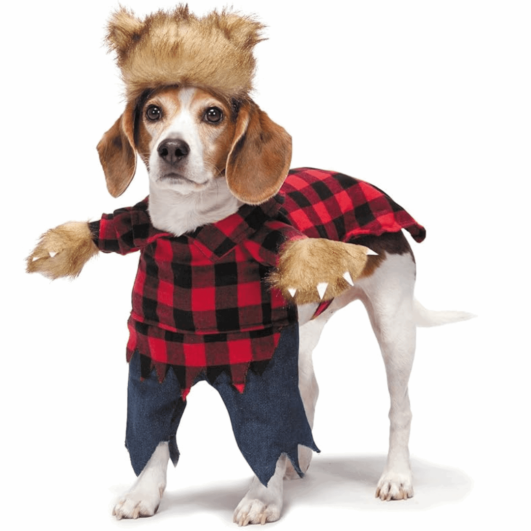 Déguisement pour chat et chien - Bucheron