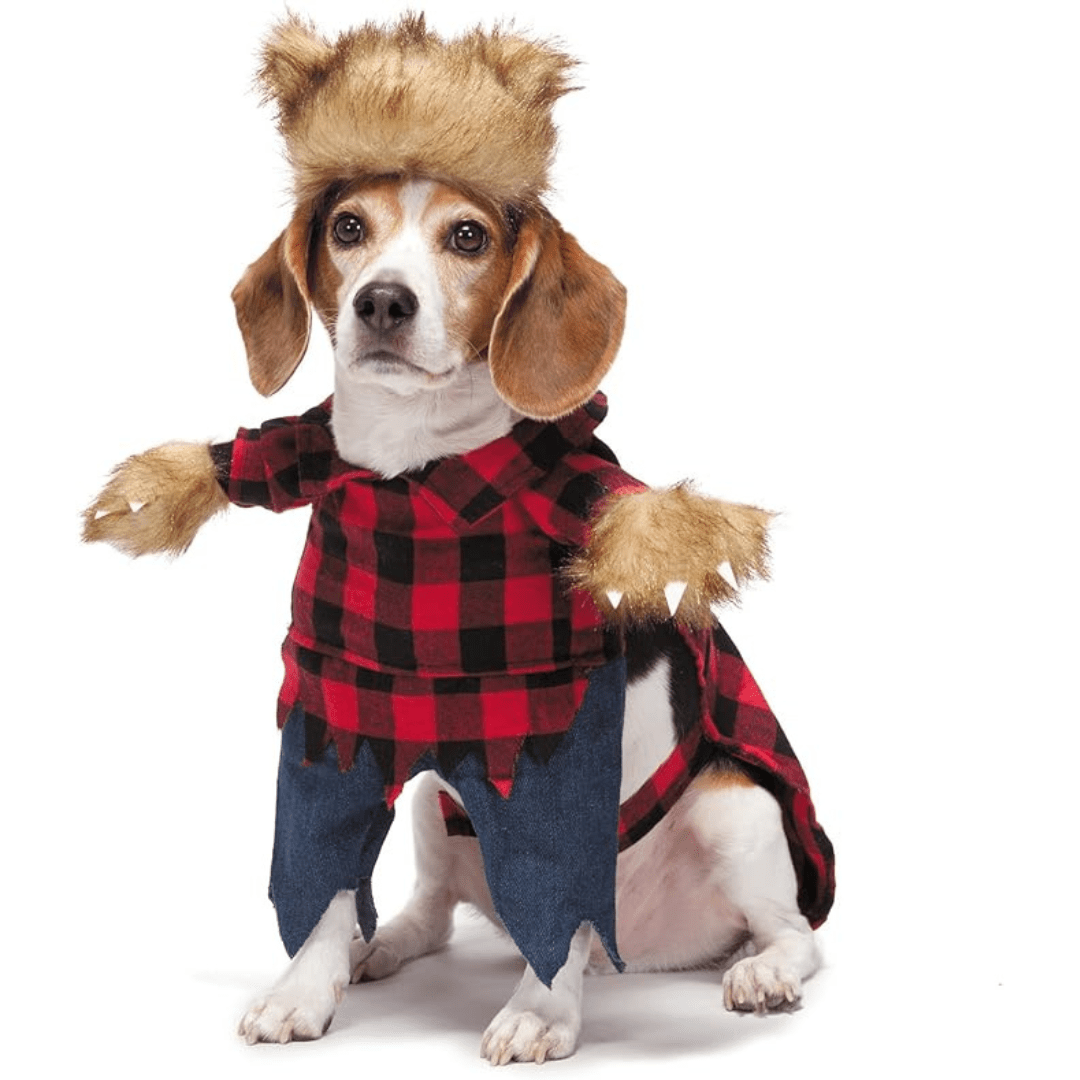 Déguisement pour chat et chien - Bucheron