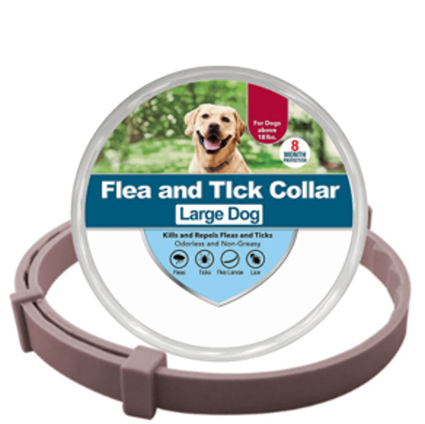 Collier anti-puces et anti-tiques pour chien et chat