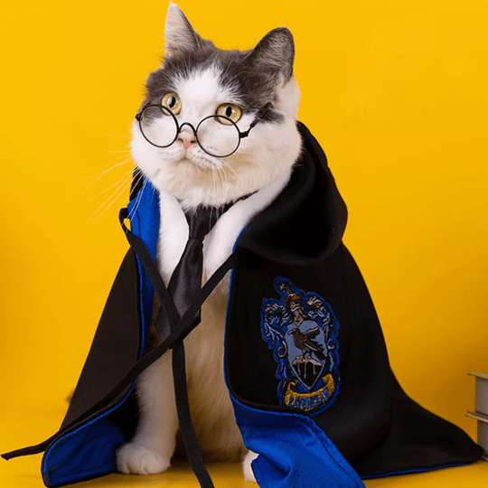 Déguisement pour chat et chien - Cape Harry Potter