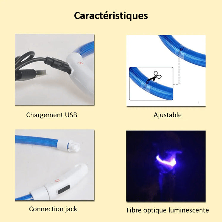 Collier à LED pour chien