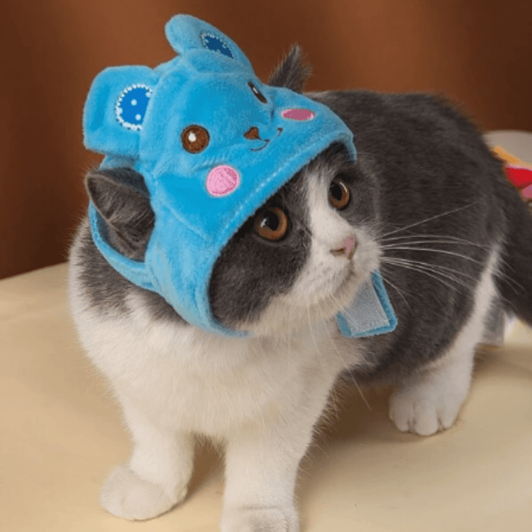 Chapeau en forme d'animal pour chat