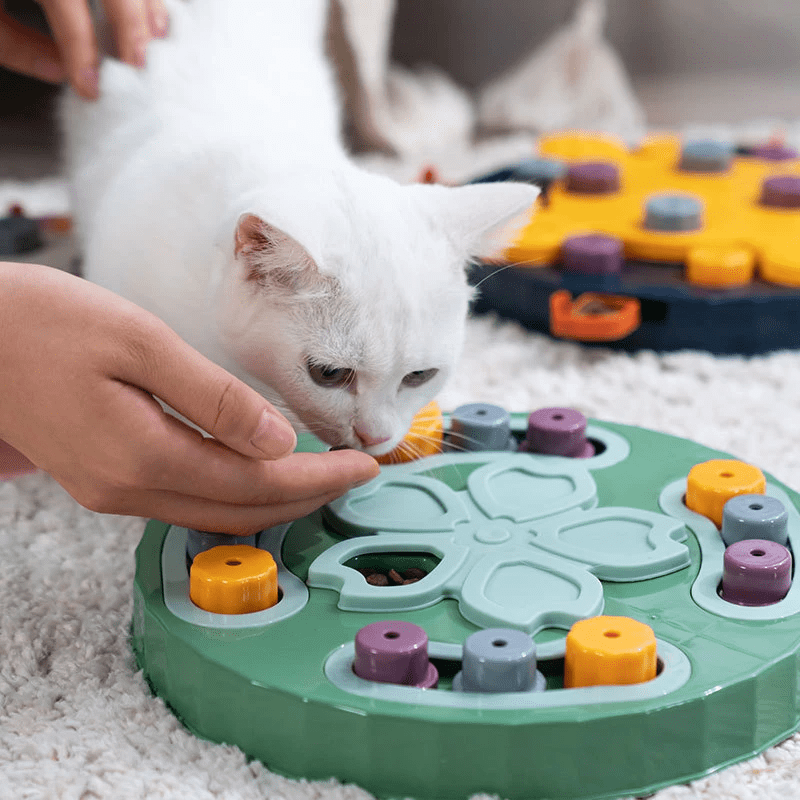 Puzzle de fouille interactif pour chien et chat